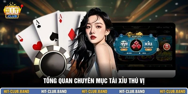 Tổng quan chuyên mục Tài Xỉu thú vị